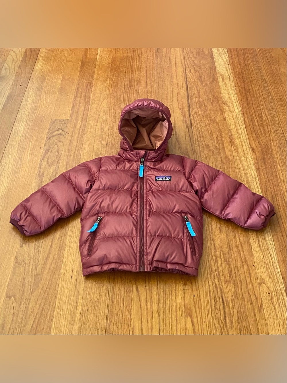 Patagonia Hooded Puffer Hi-Loft Down Jacket